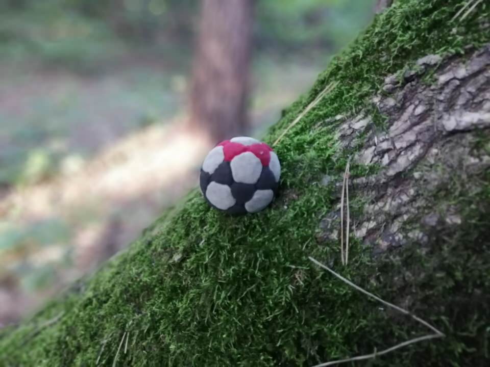 footbag beautiful on rails in the forest